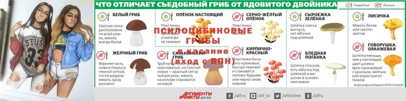 купить   Верхотурье  Псилоцибиновые грибы мицелий 